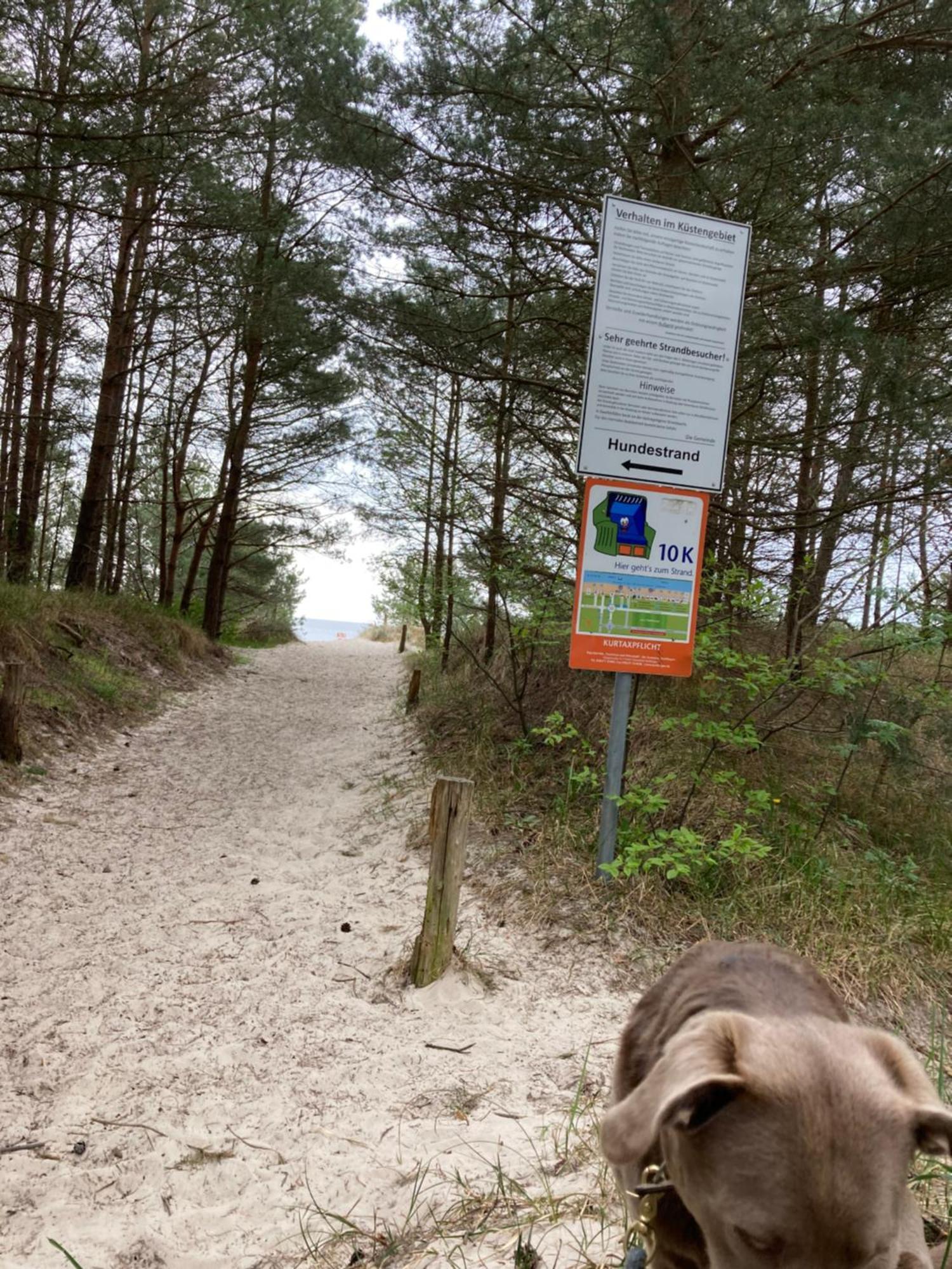 Reet Am Strand Mit Hund Karlshagen Exterior photo